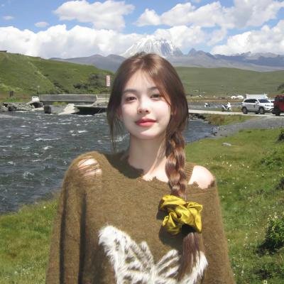 李米的猜想